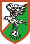Sokół Kleczew.gif